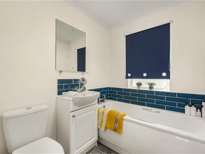 Picture 15